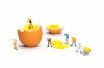 Team Of Miniature Human Figurines Transporting Chicken Egg Yolk Stock Photo