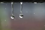 Water Drops In Rainy Day Stock Photo