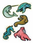 Aquatic Animals And Marine Mammals Collection Stock Photo