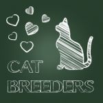 Cat Breeders Indicates Pet Offspring And Breeding Stock Photo