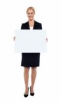 Businesswoman Showing Blank White Billboard Stock Photo
