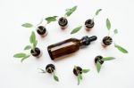 Natural Sage Essential Oil With Sage Leaves On White  Background Stock Photo