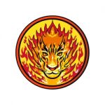 Flaming Tiger  Head Icon Stock Photo