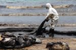 Thailand-environment-oil-pollution Stock Photo
