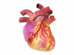 3d Human Heart Stock Photo