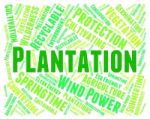 Plantation Word Showing Cultivation Farmland And Agriculture Stock Photo