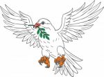 Dove With Olive Leaf Drawing Stock Photo