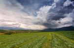 Spring Rain And Storm In Mountains. Green Spring Hills Of Slovak Stock Photo
