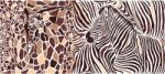 Abstract Texture Of Giraffe And Zebra Stock Photo
