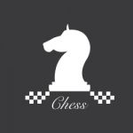 The Knight Chess Piece On Grey Background Stock Photo