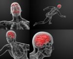 3d Render Illustration Of Human Brain X Ray Stock Photo