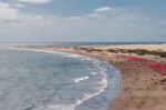 View Of The Beach From Playa Del Ingles To Maspalomas Gran Cana Stock Photo