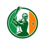 Hurling Ireland Flag Icon Stock Photo
