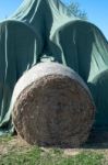 Hay Balls In Plastic Cover Wrap Stock Photo