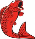 Koi Nishikigoi Carp Fish Jumping Cartoon Stock Photo