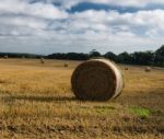 Round Straw Bale,north Yorkshire, Uk Stock Photo