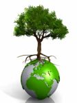 Earth And Tree Stock Photo