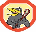 Black Bird Lacrosse Player Shield Cartoon Stock Photo