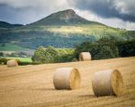 Summer Harvest-north Yorkshire-uk Stock Photo