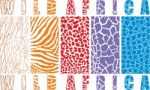 Animal Wildlife Color Abstract Background Stock Photo