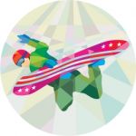 Snowboarder Snowboard Jumping Low Polygon Stock Photo