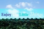 Enjoy The Little Things Inspirational And Motivational Quote Stock Photo