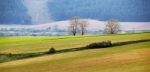 Green Spring Hills In Slovakia. April Sunny Countryside Stock Photo