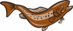 Brown Spotted Trout Jumping Cartoon Stock Photo