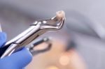Dental Equipment,tooth Extraction Stock Photo