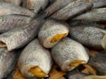 Dried Salted Fish Stock Photo