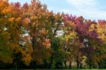 Autumn Tints In Parco Di Monza Italy Stock Photo