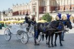 Carriage And Horses In Krakow Stock Photo