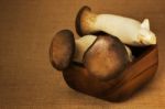 Eryngii Mushroom Stock Photo