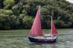 Sailing Up The River Dart Near Totnes Stock Photo