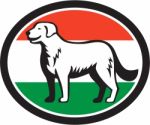 Kuvasz Dog Hungarian Flag Oval Retro Stock Photo