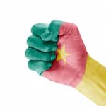 Cameroon Flag On Clenched Fist Hand Stock Photo