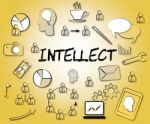Intellect Icons Represents Intellectual Capacity And Ability Stock Photo