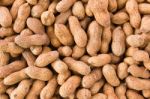 Peanut Or Groundnut Stock Photo