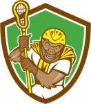 Gorilla Lacrosse Player Shield Cartoon Stock Photo