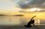 Beautiful Yoga Girl At Sunrise On The Beach