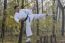 Karate In Forestry