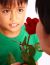 Boy Giving Rose To His Mother
