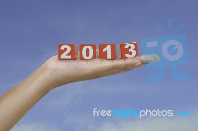 2013 On Palm Stock Photo