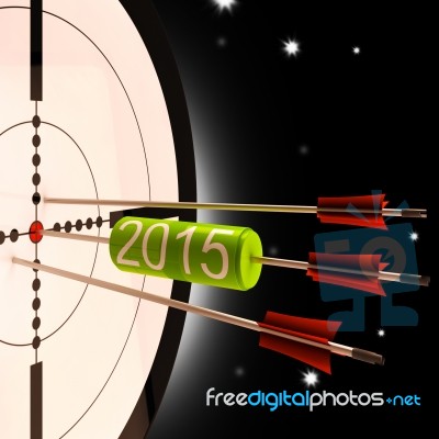 2015 Future Projection Target Shows Forward Planning Stock Image