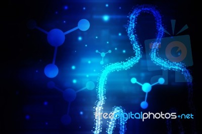 2d Illustration Human Male Muscle Body Stock Image