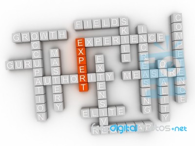 3d Expert Concept Word Cloud Stock Image