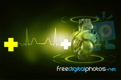 3d Illustration  Anatomy Of Human Heart Stock Image