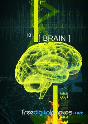 3d Illustration Of Human Brain By X- Ray On Background Stock Image