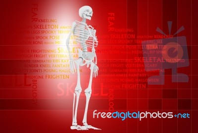 3d Illustration Of  Human Skulls Stock Photo Stock Image