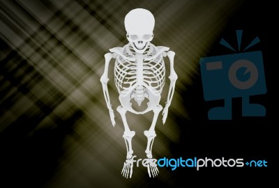 3d Illustration Of  Human Skulls Stock Photo Stock Image